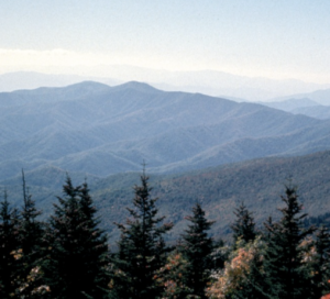 smokies park